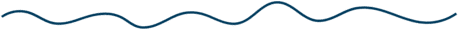 Seaweed Rockaway Beach web graphic (03)