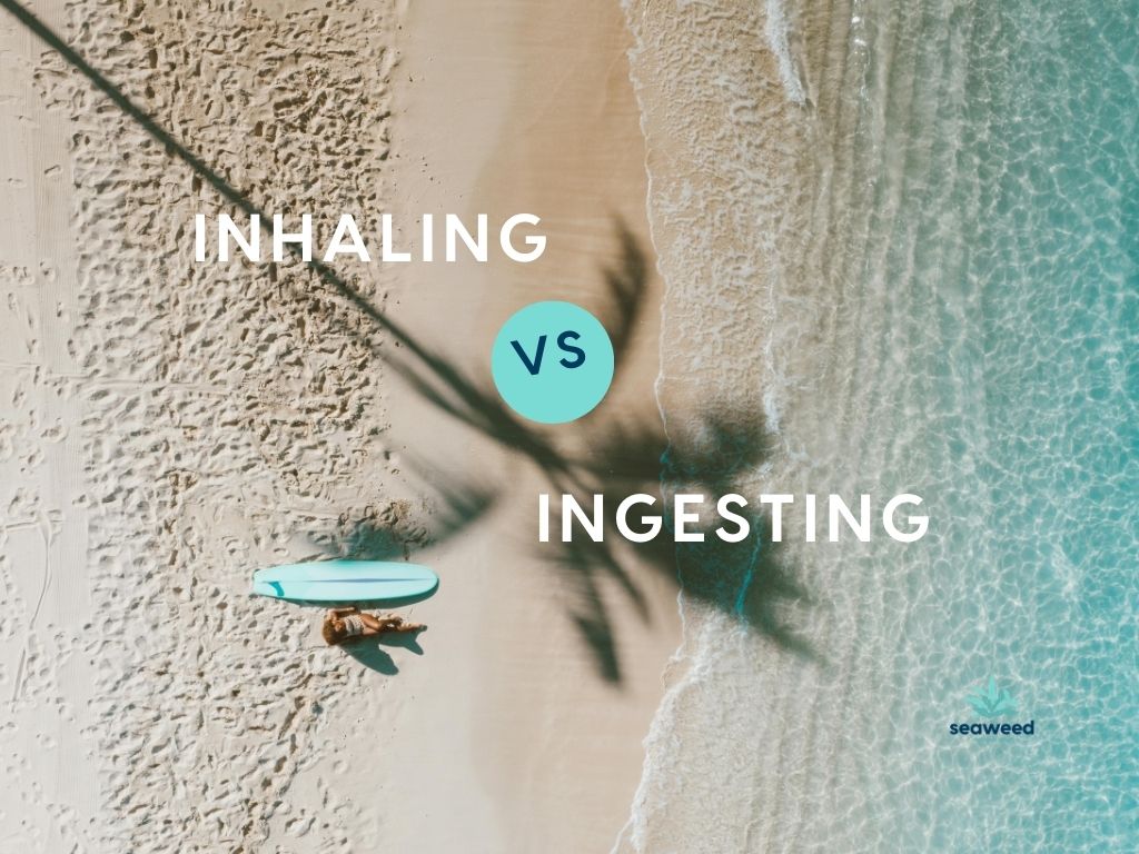 Person sitting on beach - words on screen ingest vs inhale
