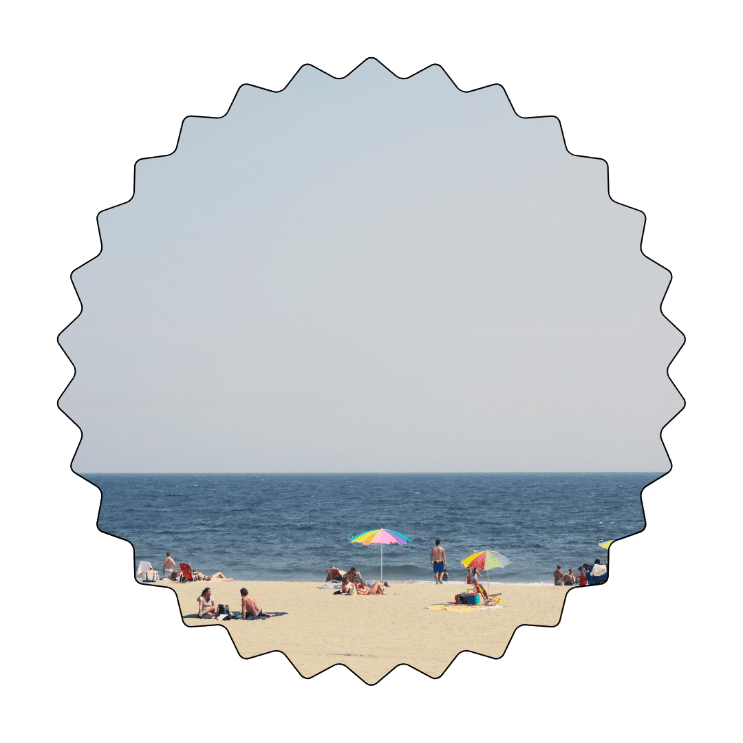 Seaweed Rockaway Beach web graphic