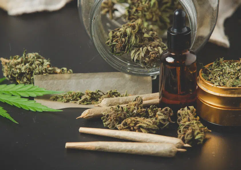 Beyond the Buzz: Discovering the Role of Terpenes in Cannabinoids