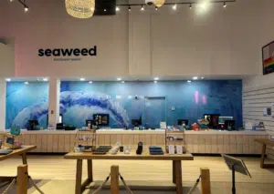 Interior of Seaweed dispensary in Rockaway Beach, answering is weed legal in New York for tourists