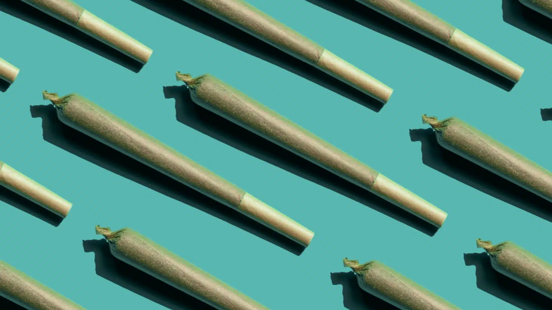Repeating pattern of cannabis pre-rolls on a teal background, infused pre-rolls vs blunts guide